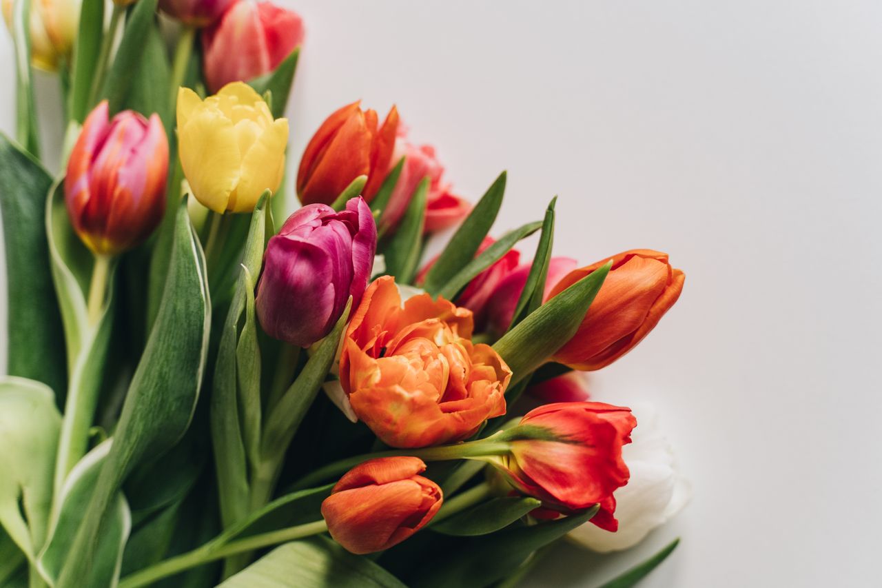 Discover Our Most Popular Floral Collections