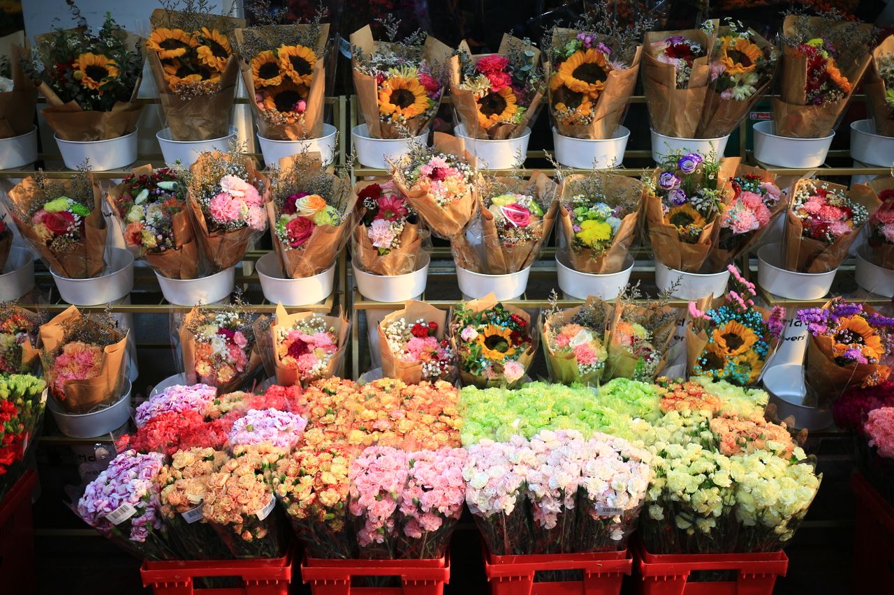 Discover Our Most Popular Flower Collections