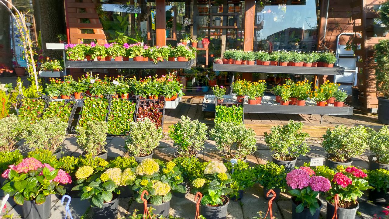 Explore Our Most Popular Flower Collections