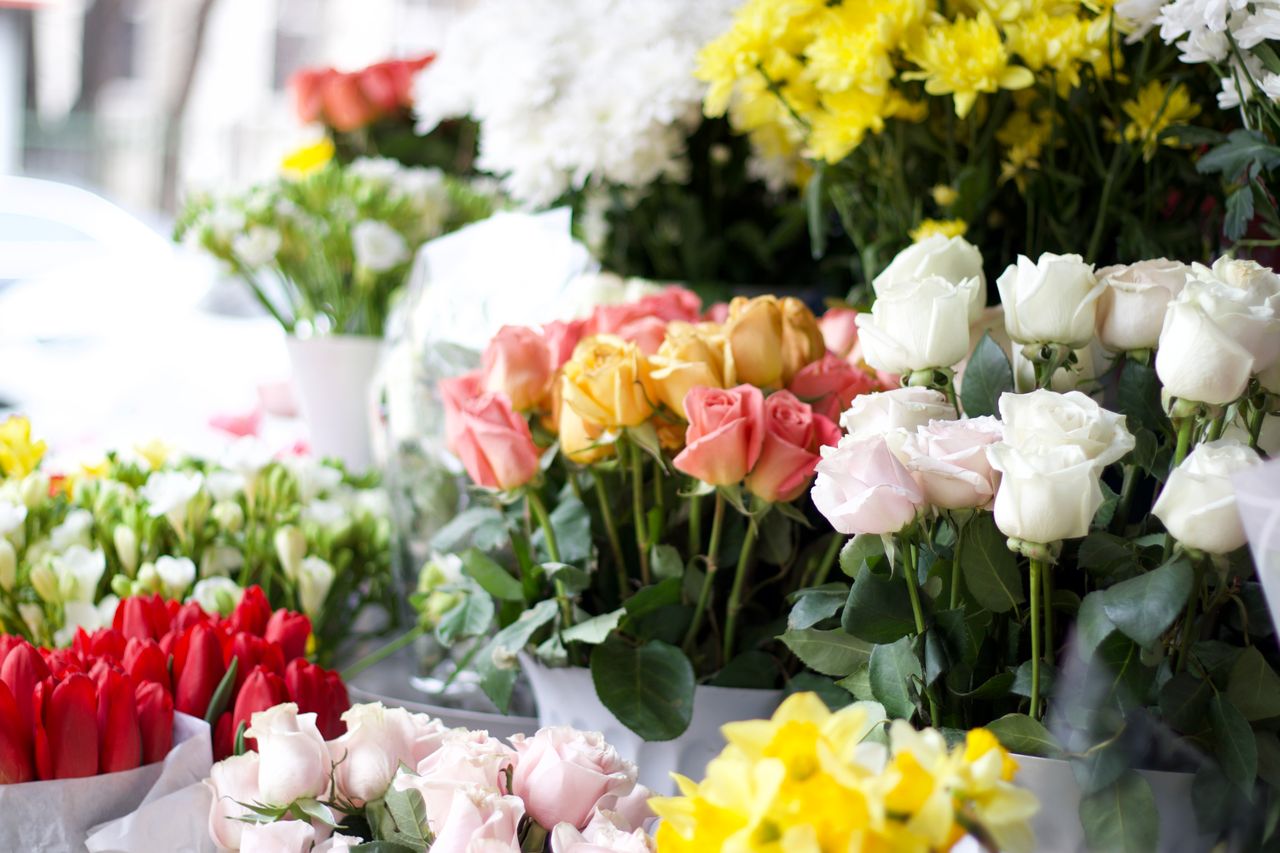 Explore Our Most Popular Flower Collections