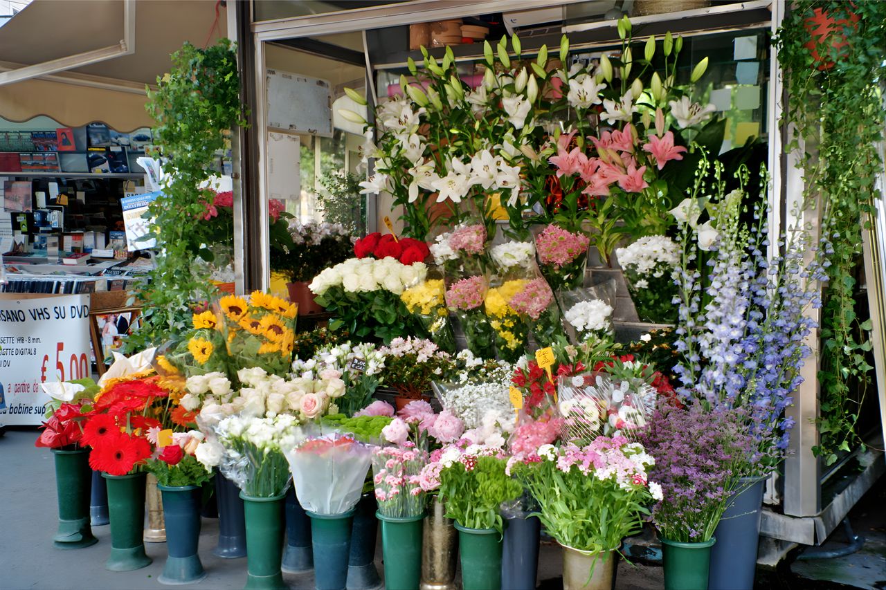 Explore Our Signature Flower Collections