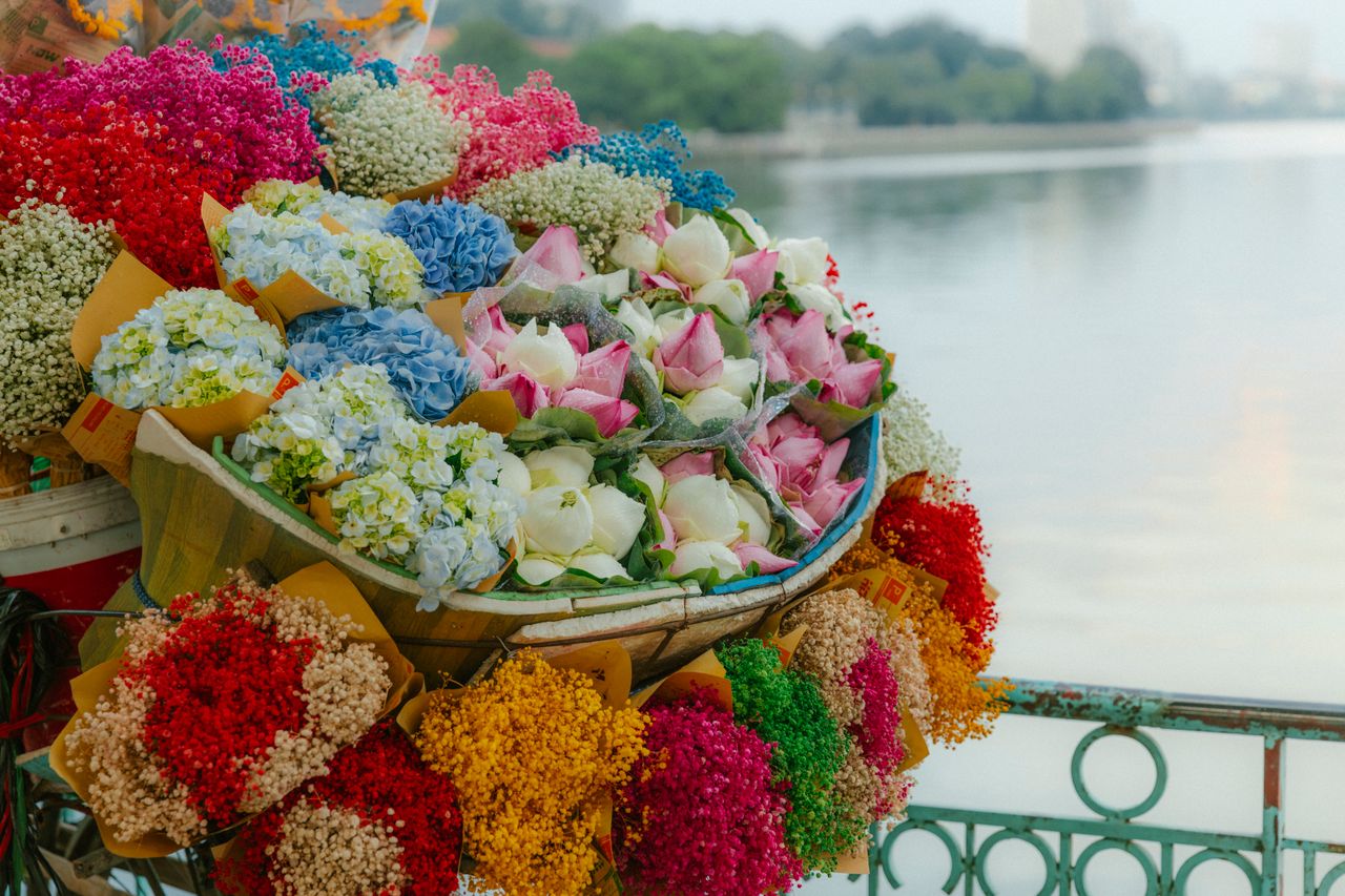 Explore Popular Flower Collections​