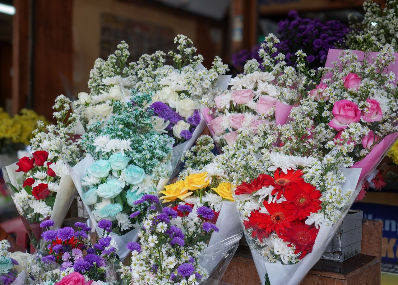Explore Popular Flower Collections​