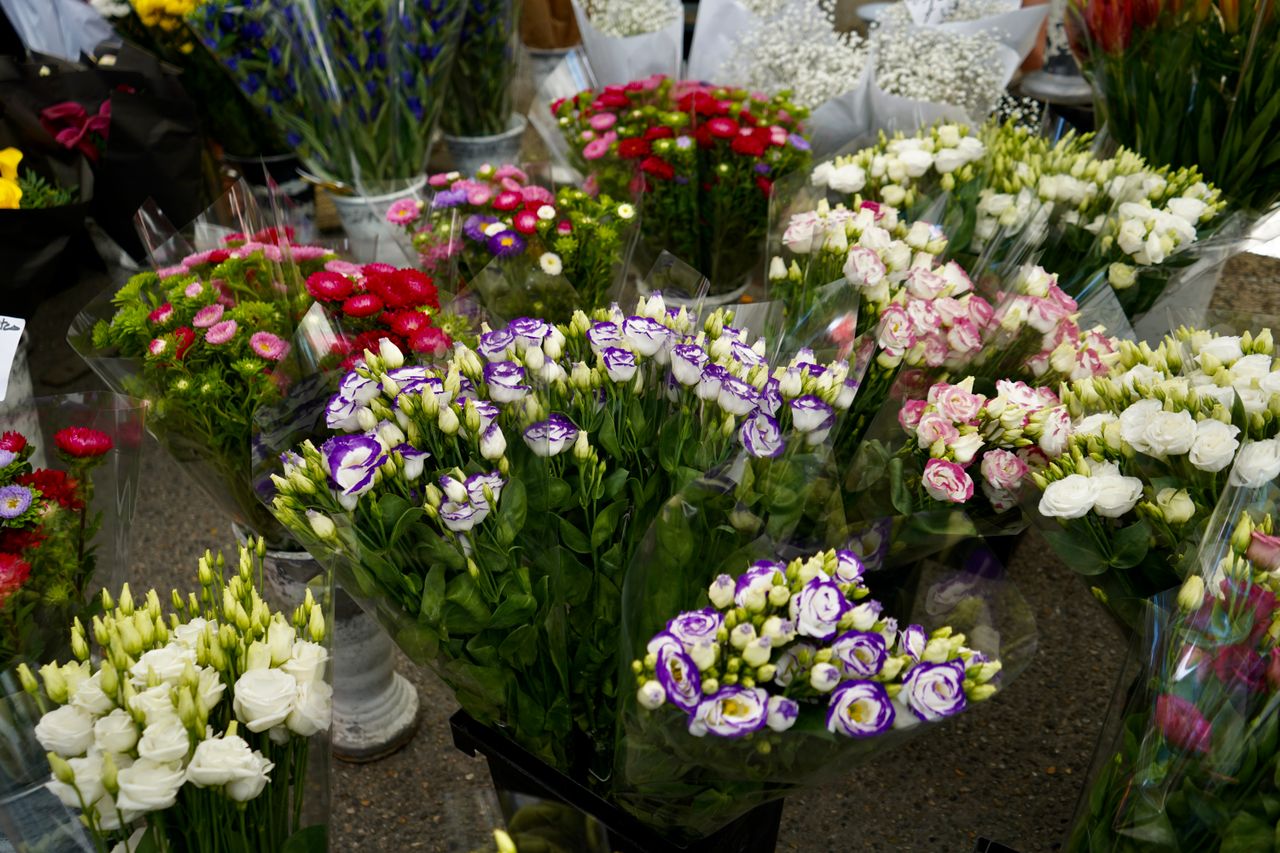 Florist in Alamo, TX​