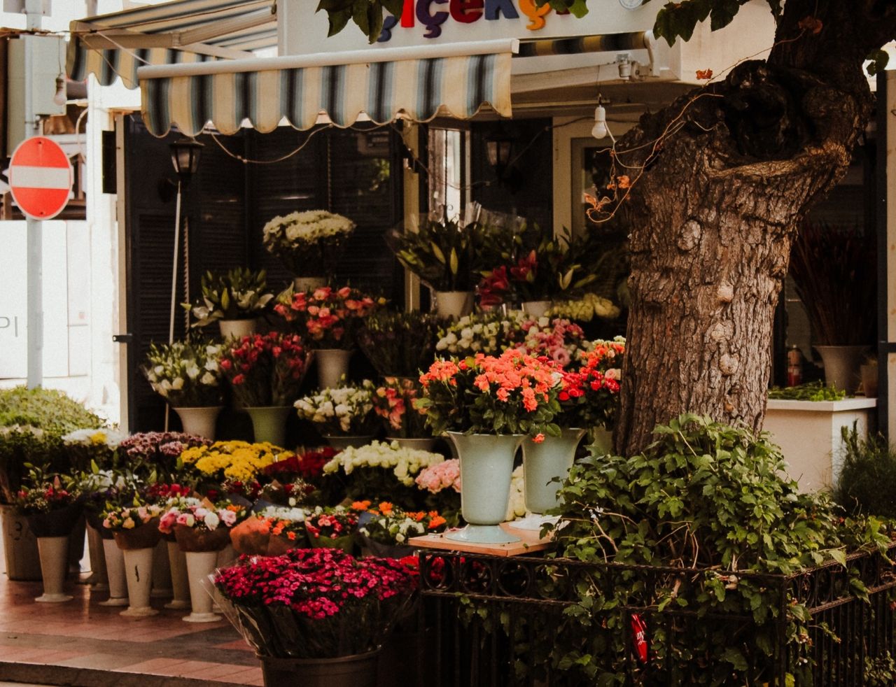Florist in Pharr, TX​