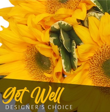 Get Well Flowers