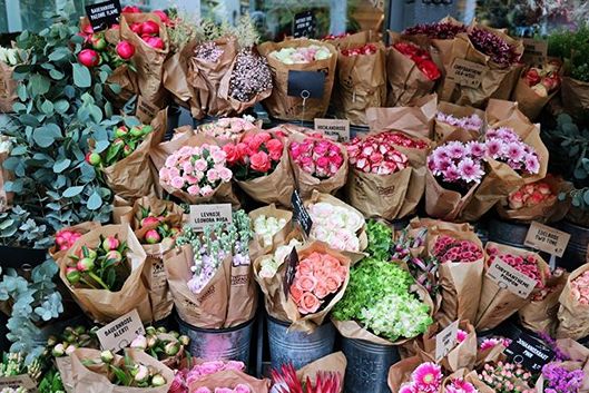 McAllen's Local Flower Shop (3)