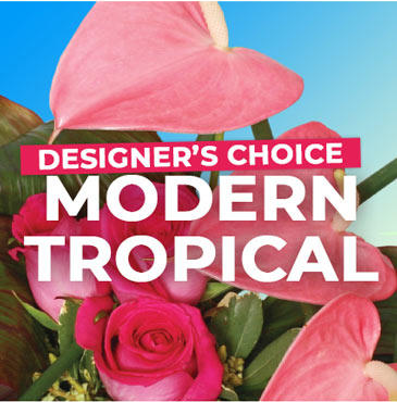 Modern & Tropical Designs​