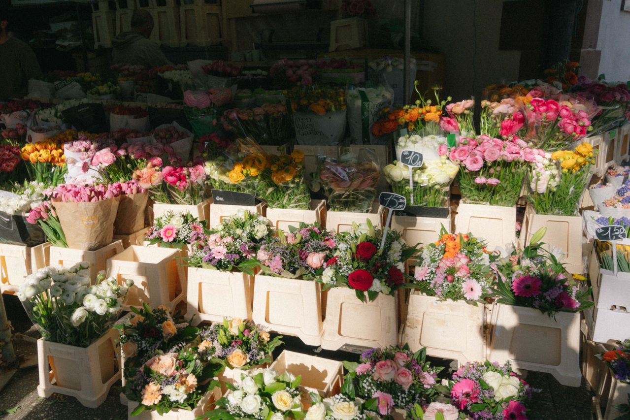 Same Day Flower Delivery Throughout Mission TX