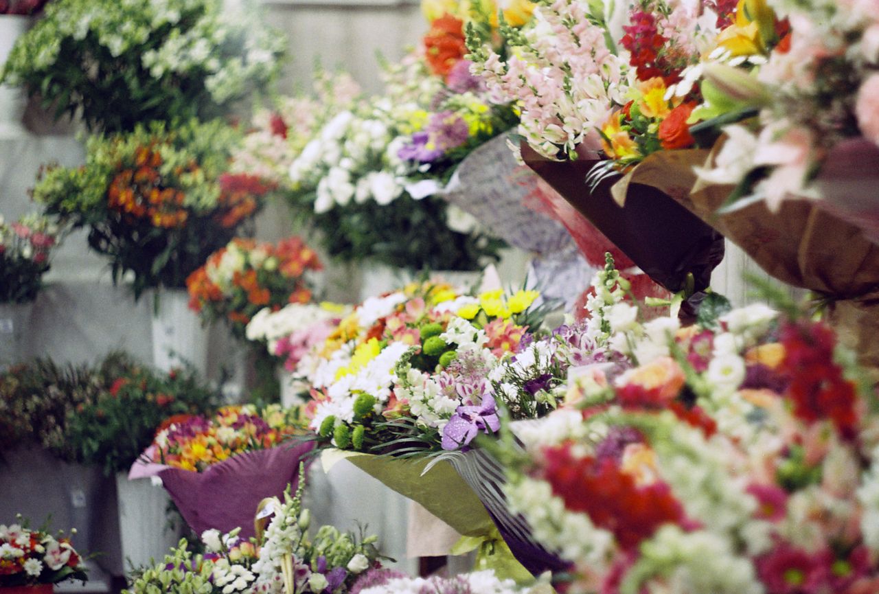 Same Day Flower Delivery in Alamo TX​
