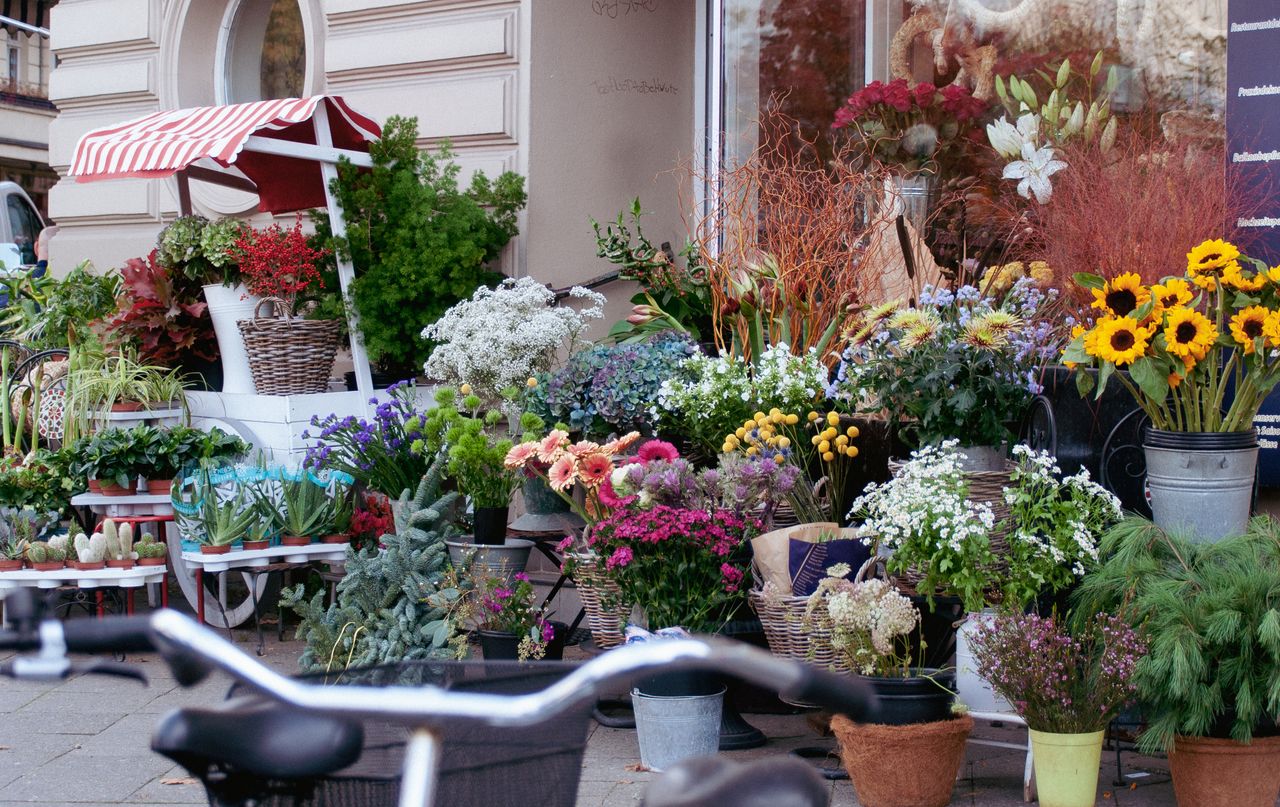 Same-Day Flower Delivery in Pharr, TX