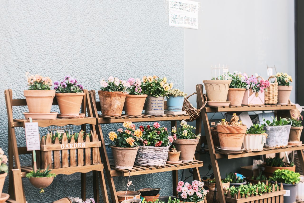 Same-Day Flower Delivery in Weslaco, TX