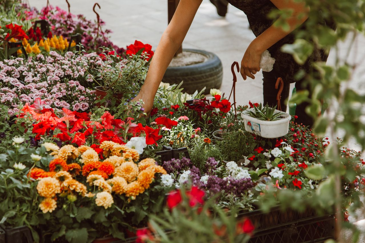 Why Customers in Alamo Choose Flower Hut