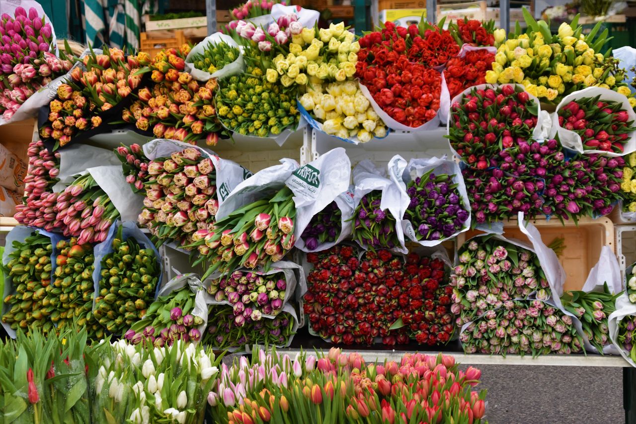 Why Customers in Pharr Choose Flower Hut