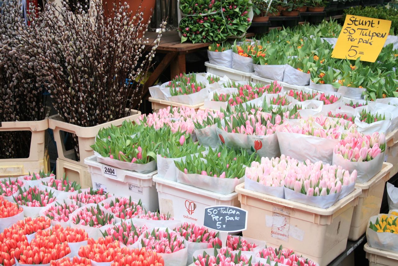 Why Mission Residents Choose Flower Hut