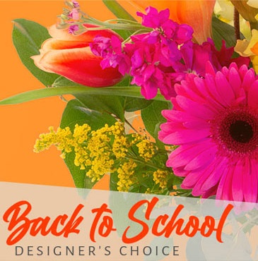 back to school beauty designers choice DC1130221.365