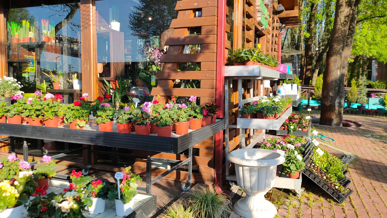 Why Weslaco Families Choose Flower Hut