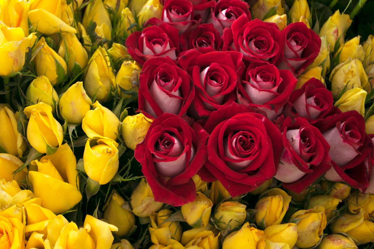 ¿Por Qué Los Clientes de McAllen Eligen Flower Hut​